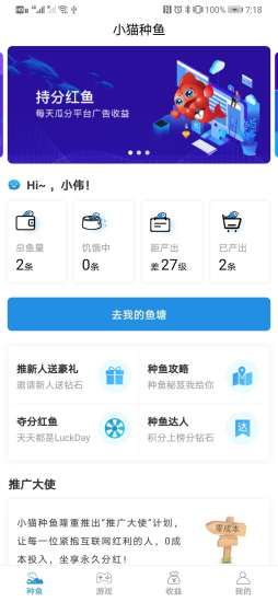 小猫种鱼分红中文版