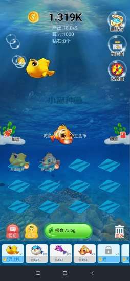 小猫种鱼分红中文版