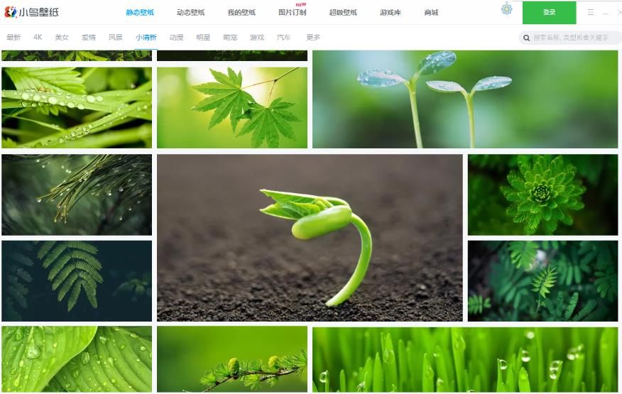 360小鸟壁纸软件客户端