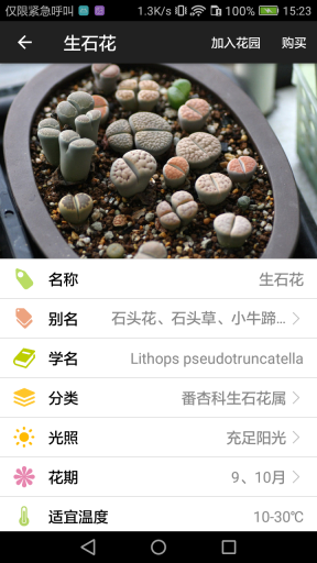 爱花草 