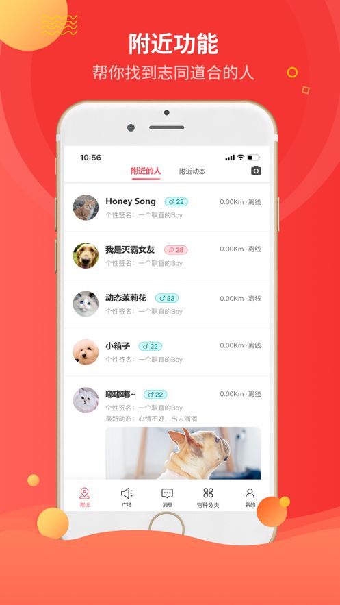 阿里巴巴戎宠手机版-图1