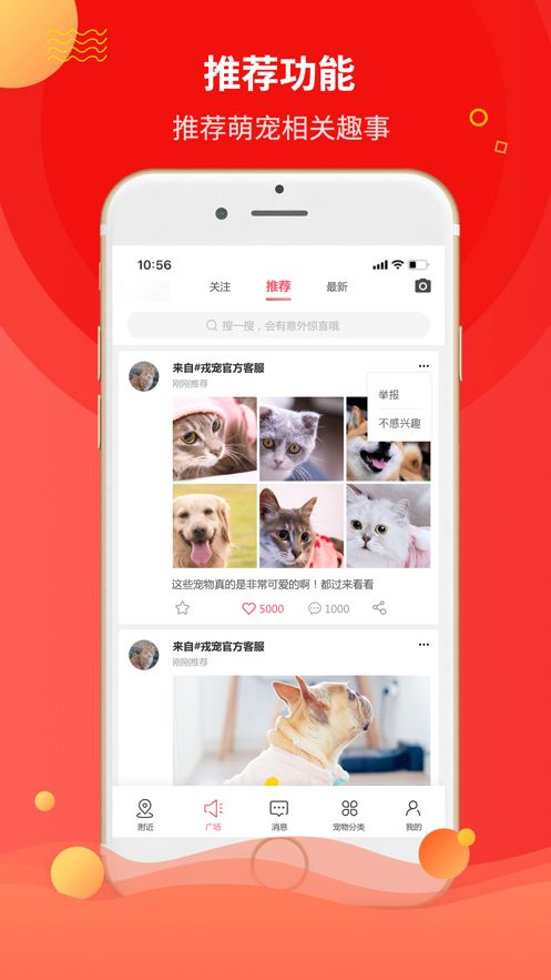 阿里巴巴戎宠手机版-图2