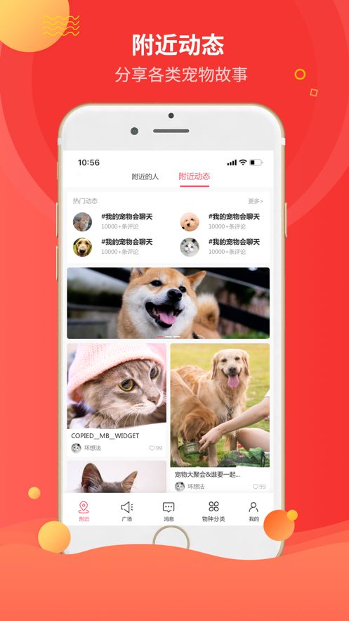 阿里巴巴戎宠手机版-图3