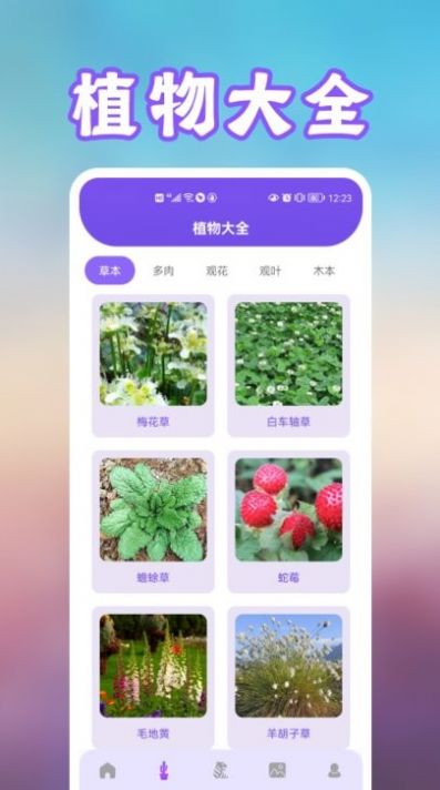 花朵识别软件免费 -图3