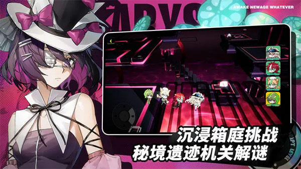 阿涅瓦正版-图4