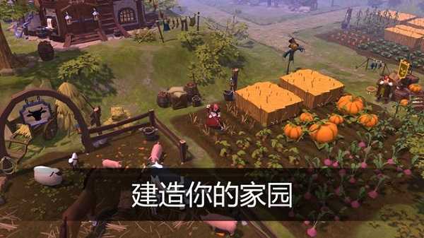 阿爾比恩ol安卓版(2)