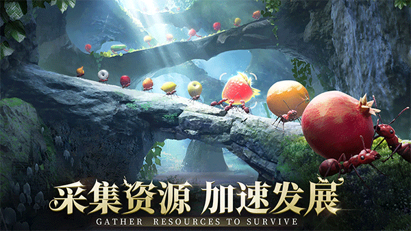 小小蚁国国际服中文版图2