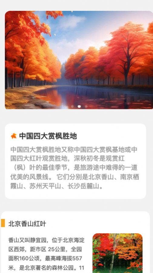枫叶悦看软件手机版