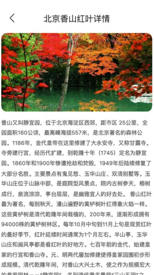 枫叶悦看软件手机版