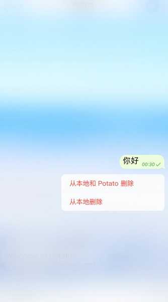 土豆软件potato-图5