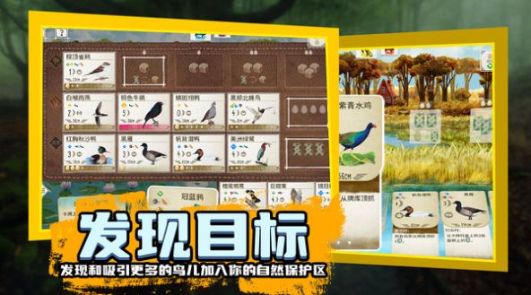 鸟类观察家最新版-图2