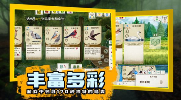 鸟类观察家最新版-图3