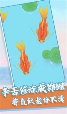召唤飞龙安卓版(2)
