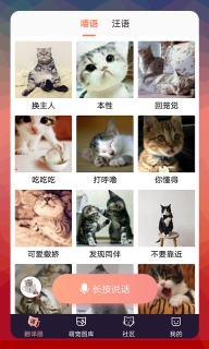 猫语翻译器正版图1