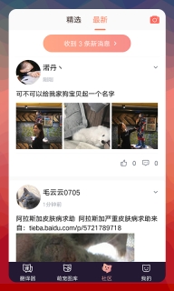 猫语翻译器正版图3