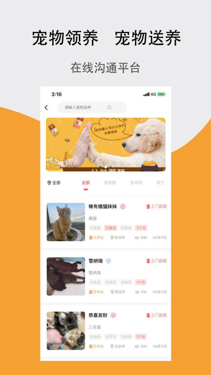 宠夫子图1