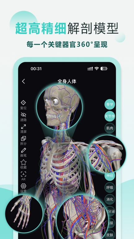 掌上3D解剖手机版(2)