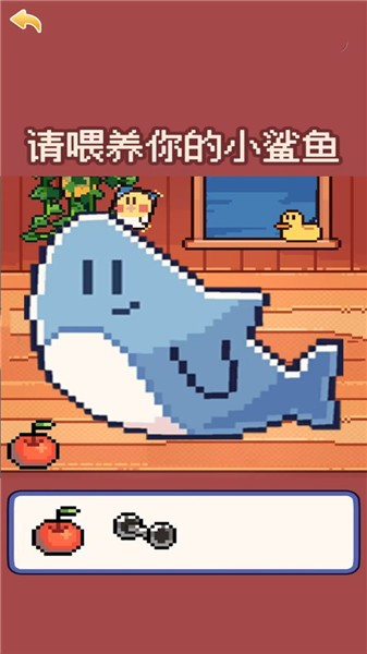 我的可爱小鲨鱼(1)