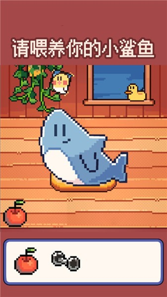 我的可爱小鲨鱼(2)