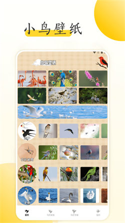 小鸟壁纸大全(1)