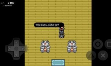 口袋妖怪无限融合(3)