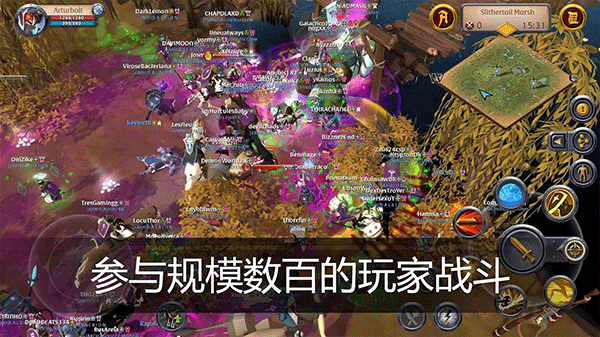 阿尔比恩国际服(Albion Online Client)图3