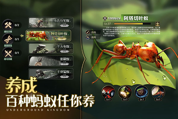 小小蚁国2025最新版-图1