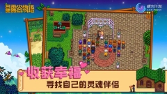 星露谷物语美化版-图3