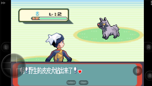 口袋妖怪蓝宝石汉化版图2