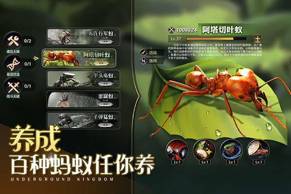 小小蚁国图2
