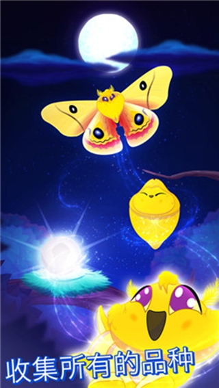 彩翼之星夜图3