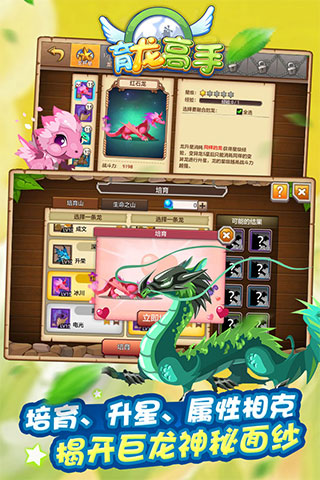 育龙高手图4