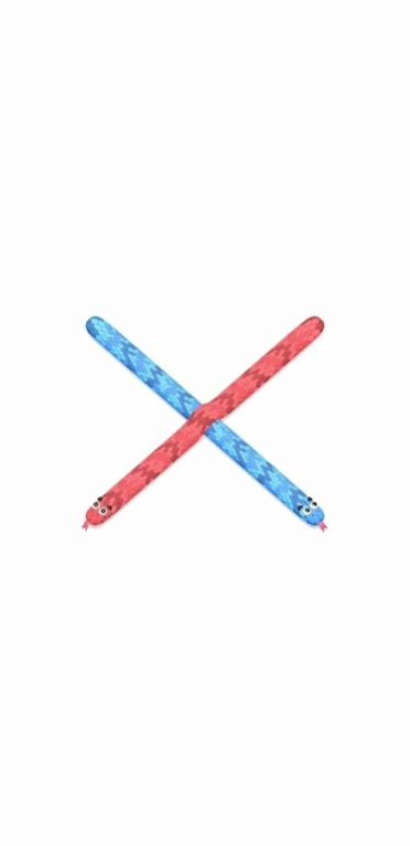 蛇蛇卷曲滚动游戏最新安卓版(2)