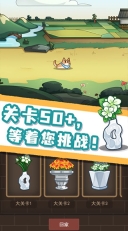 数织画花游戏