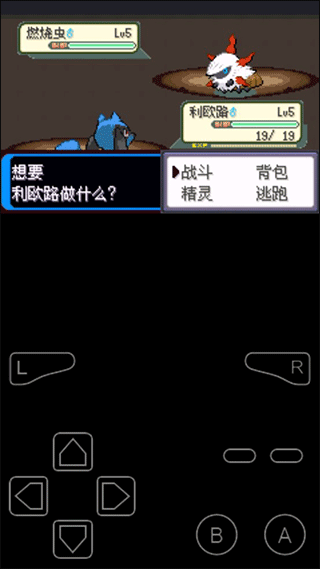 口袋妖怪决心汉化版图3