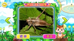 宝宝儿童动物世界