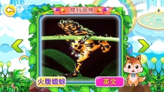 宝宝儿童动物世界
