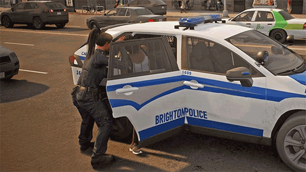 全民巡警模拟器手机版图2