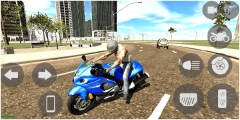 印度摩托车驾驶3d最新版截图4
