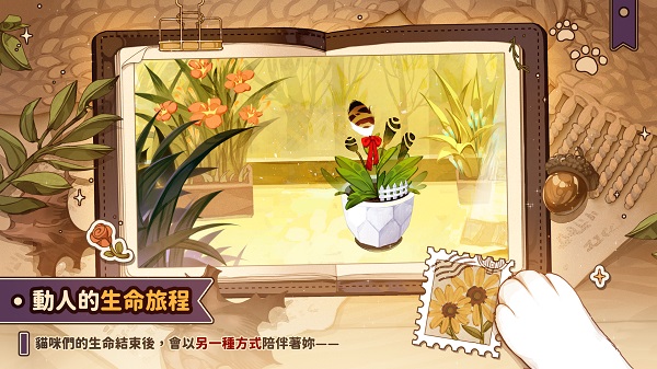 猫逝中文版