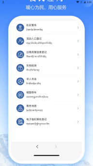 西藏公安政务服务平台图5
