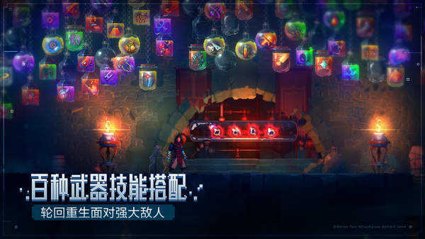 重生细胞Dead cells图1