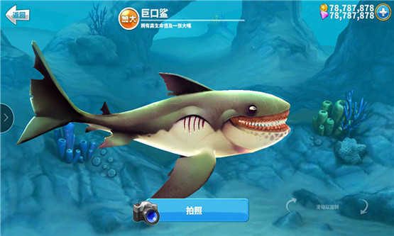 饥饿鲨世界（999999珍珠）图2