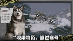 我在末日捡垃圾最新版图2