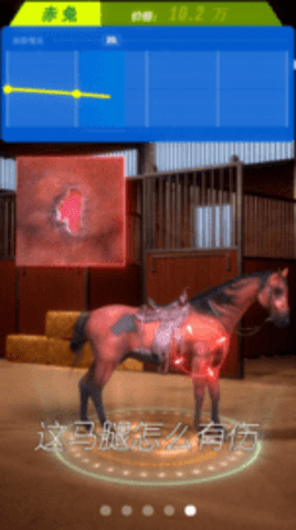 赛马也疯狂免广告版图2