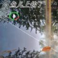 极限钓鱼大师游戏正式版