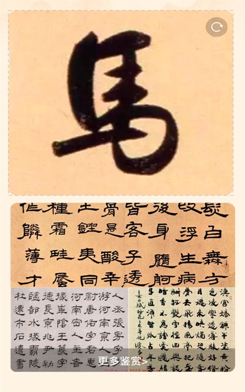 风雅一刷安卓版