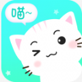 宠猫翻译手机版