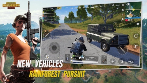 betapubgmobile国际服体验服最新版