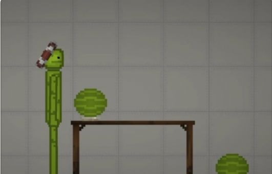 蔬菜游乐场中文版图2